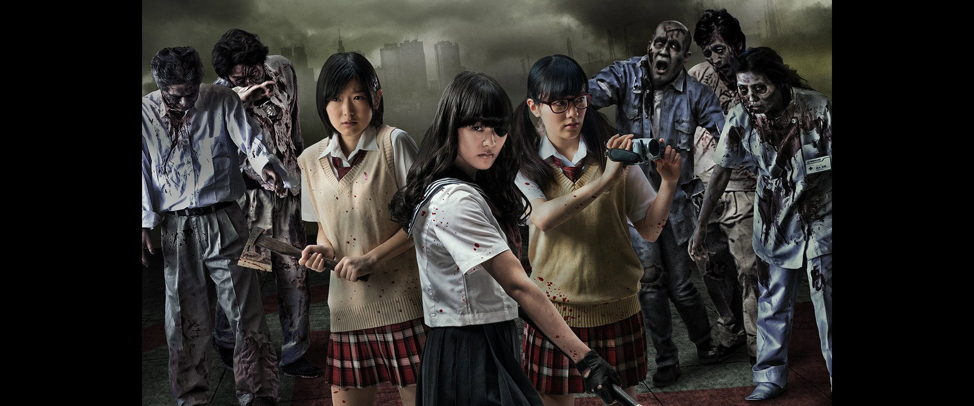 Z's banner image