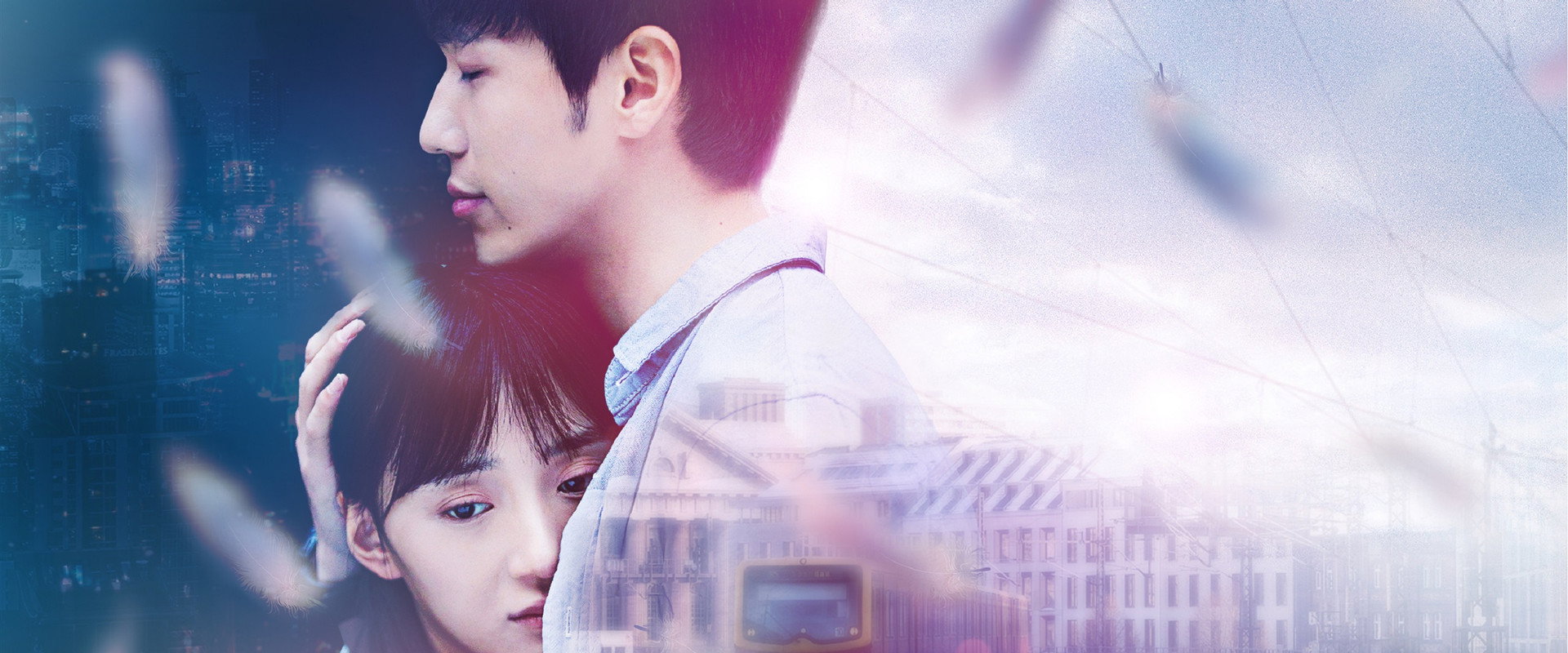 Suddenly This Summer's banner image