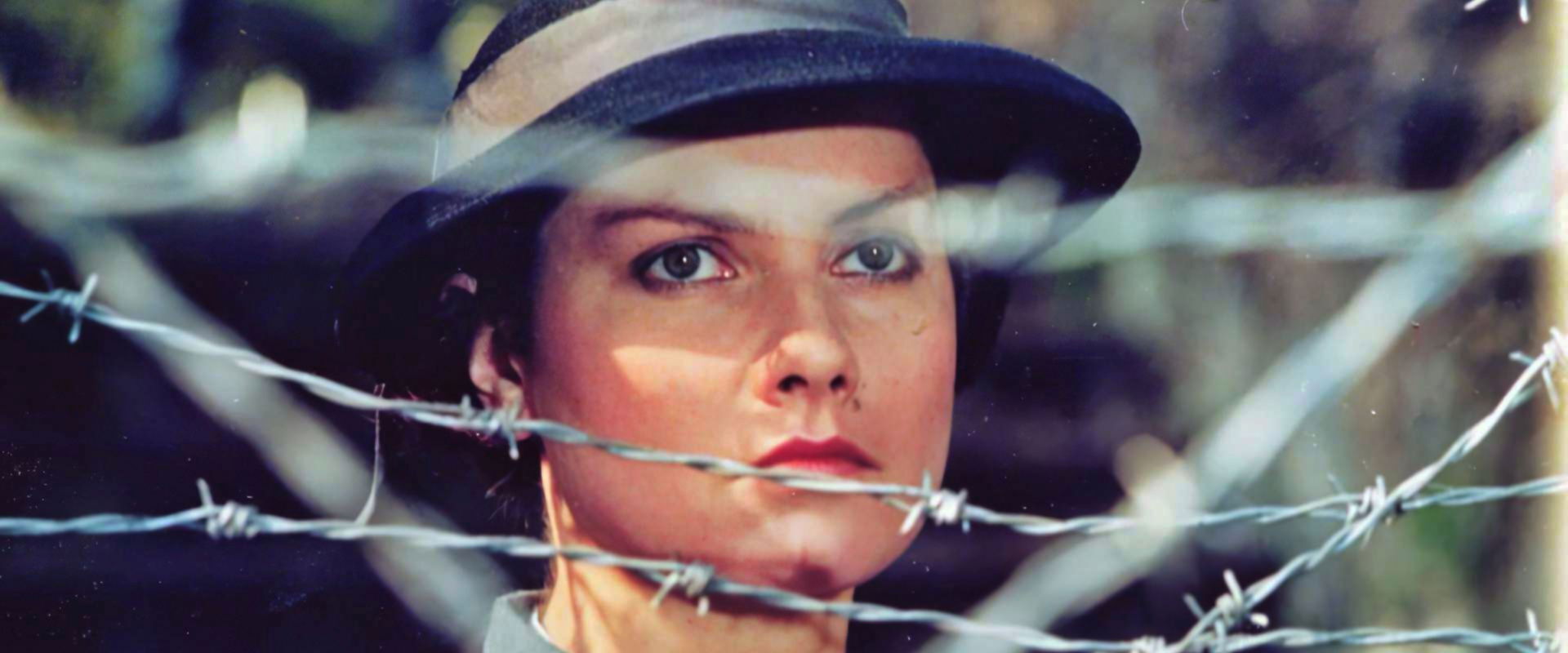 Wielki wóz's banner image