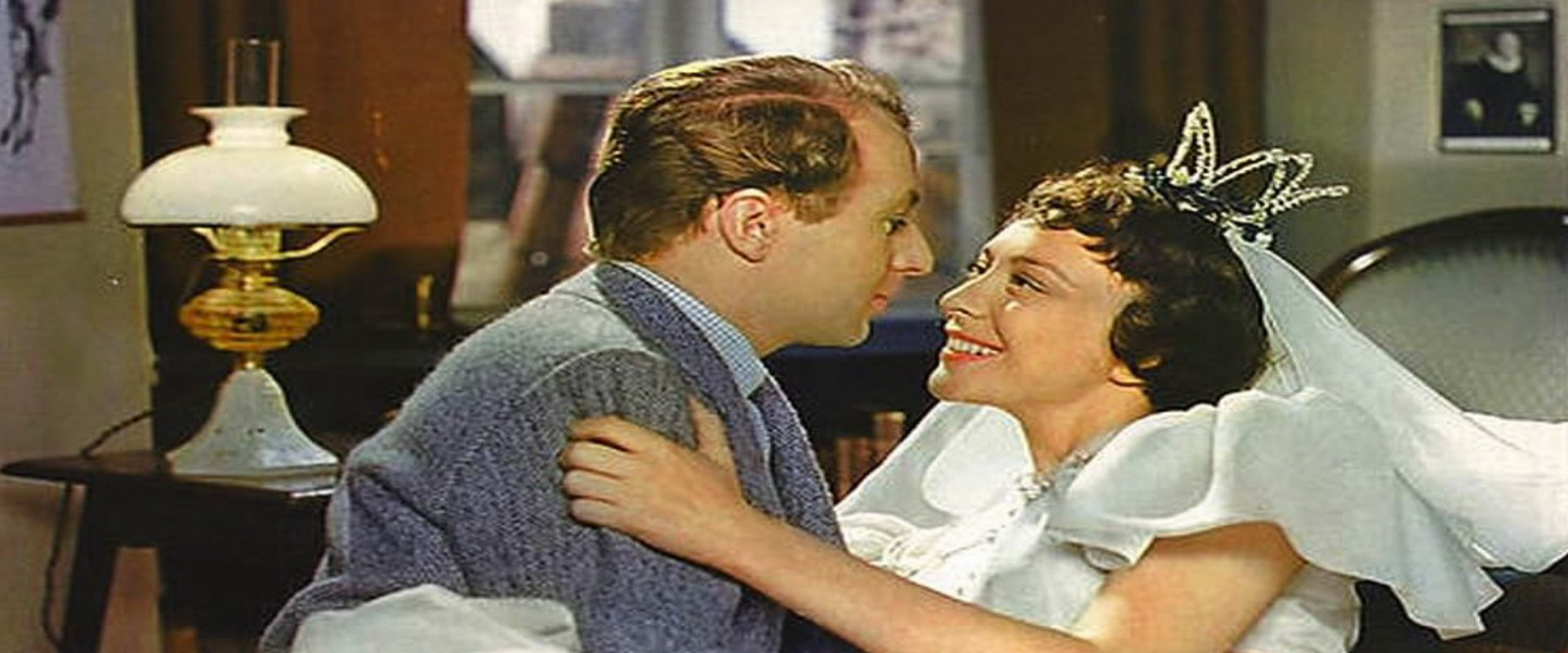 Kispus's banner image