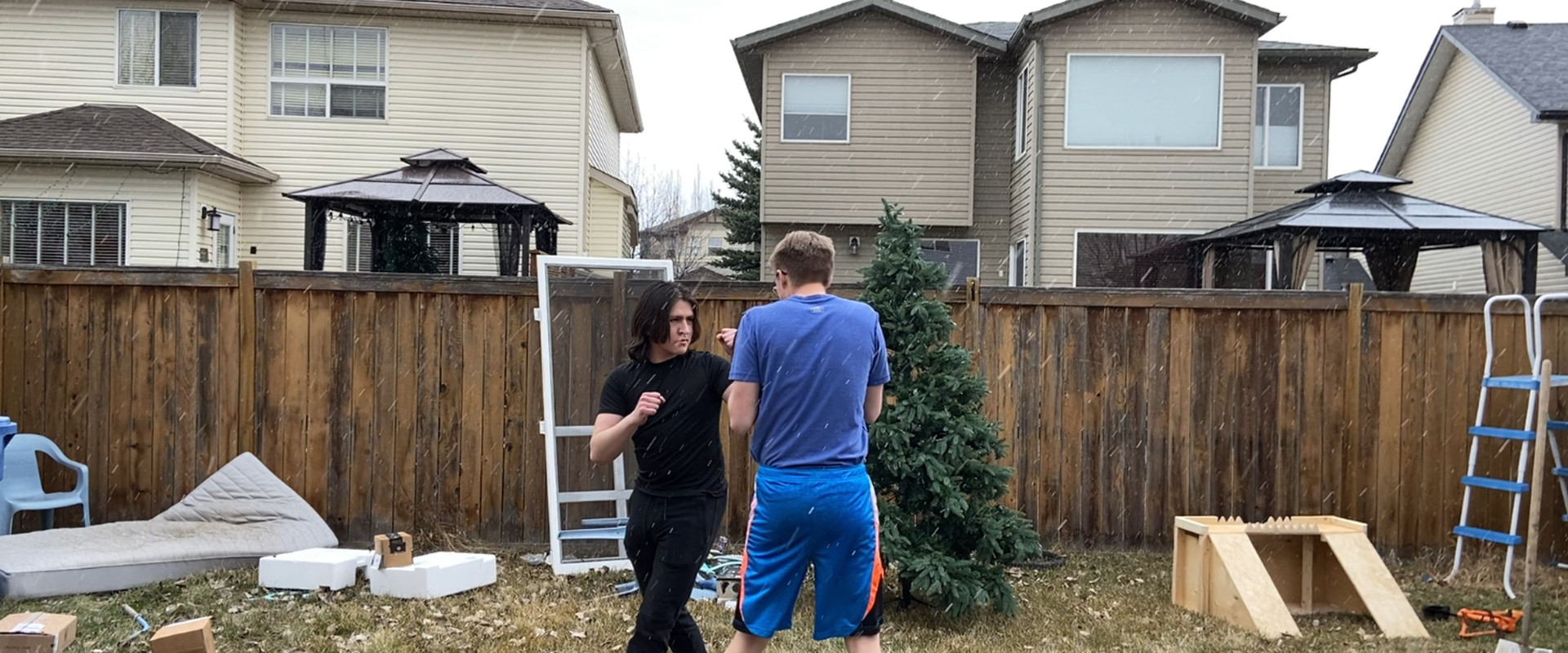 The Box-er's banner image