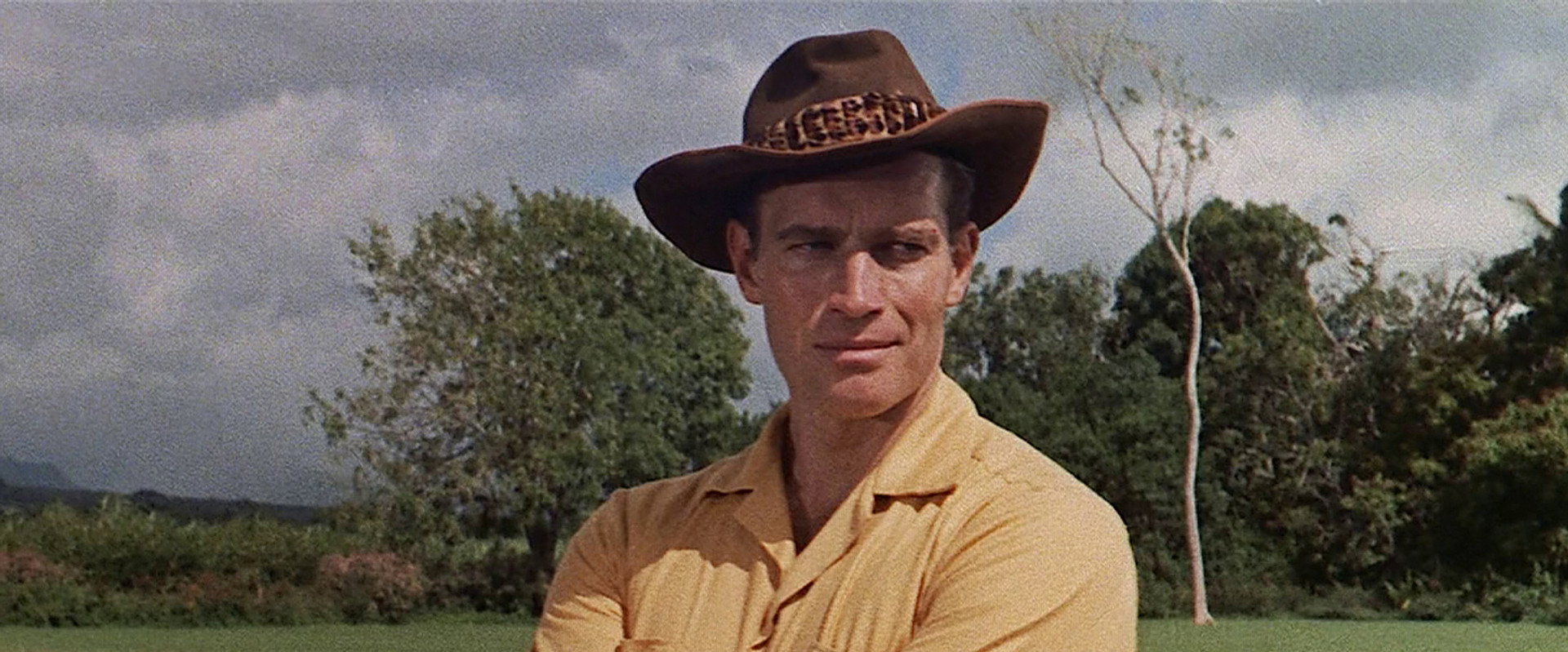 Diamond Head's banner image