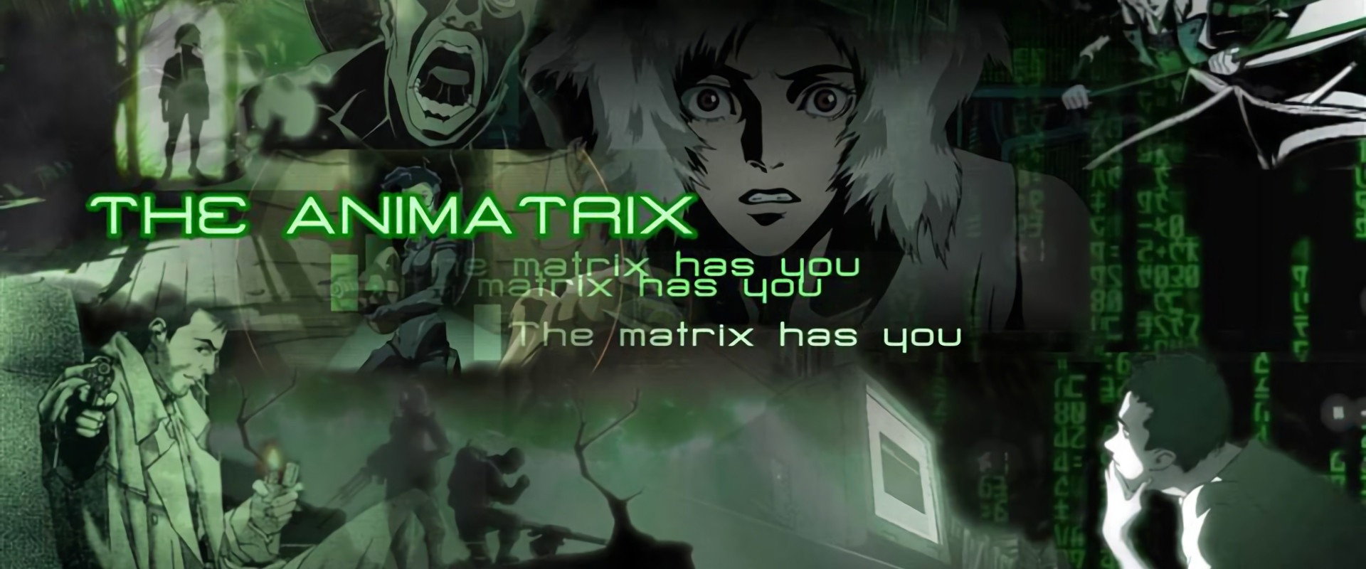 The Animatrix's banner image