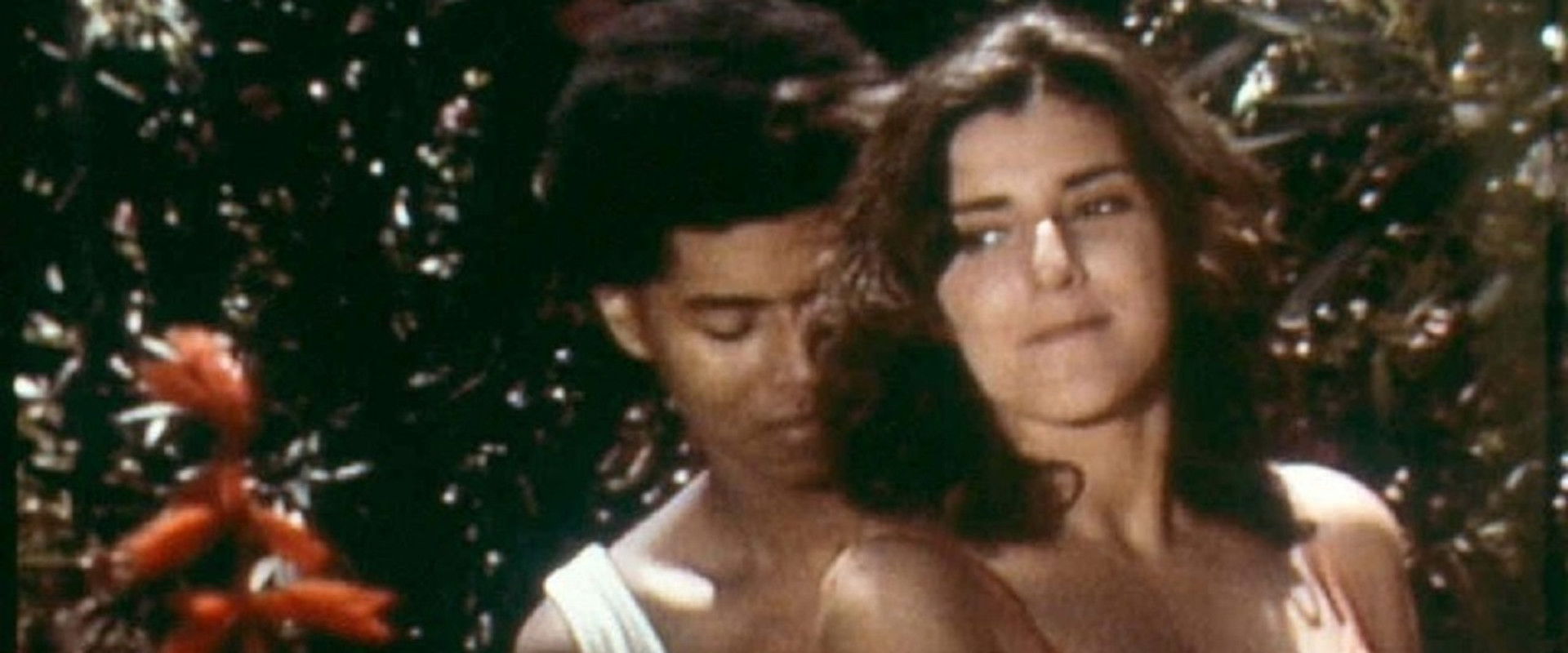 Mecanoscrit del segon origen