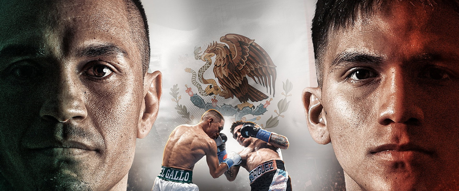 Juan Francisco Estrada vs. Jesse Rodriguez's banner image