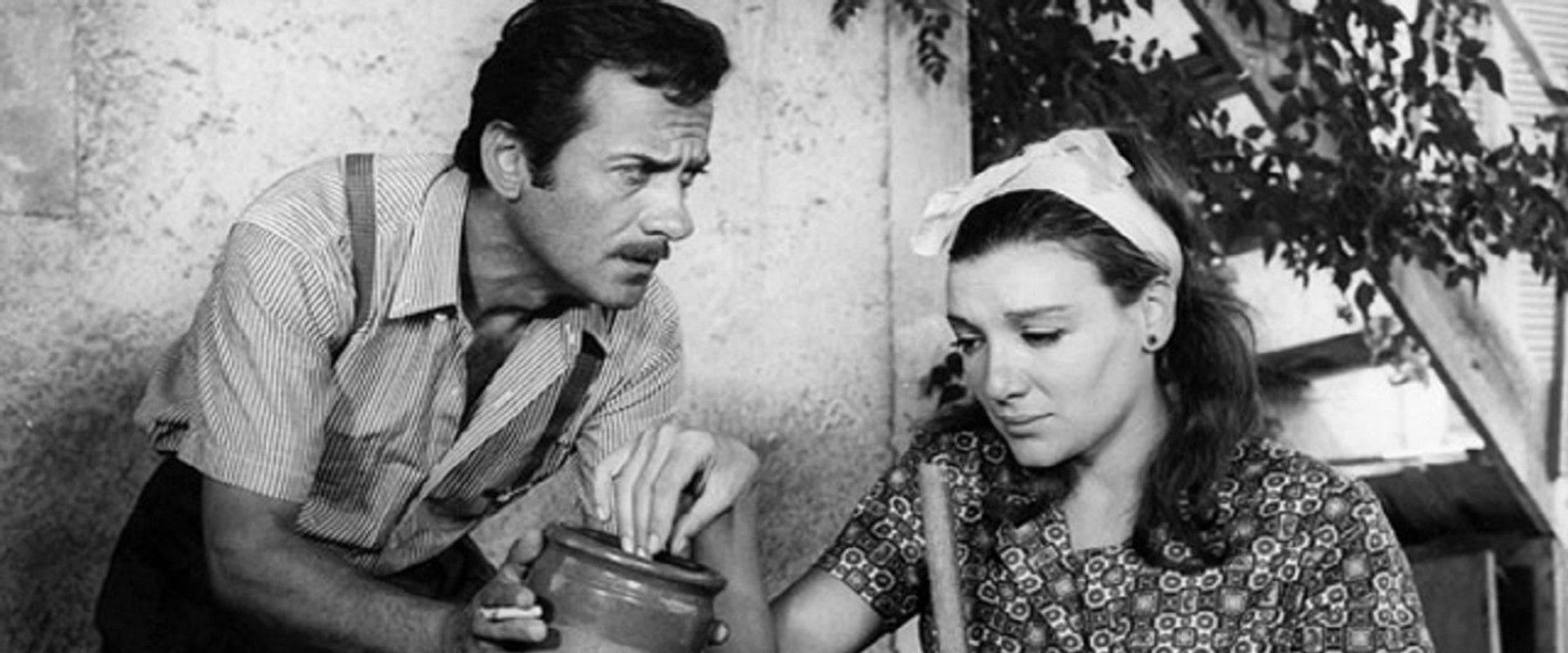 Horafa family's banner image