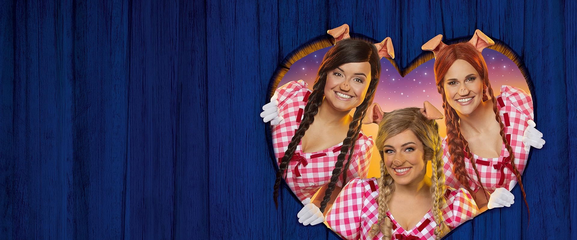 De 3 Biggetjes's banner image