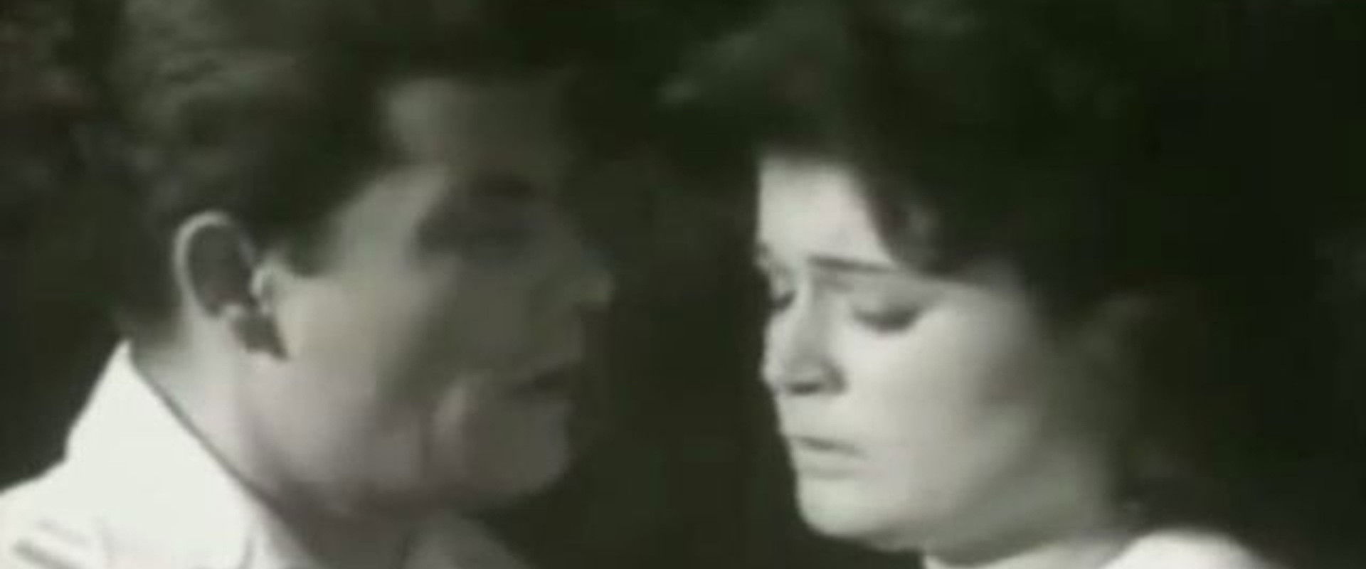 Bufakkar filli nassini's banner image