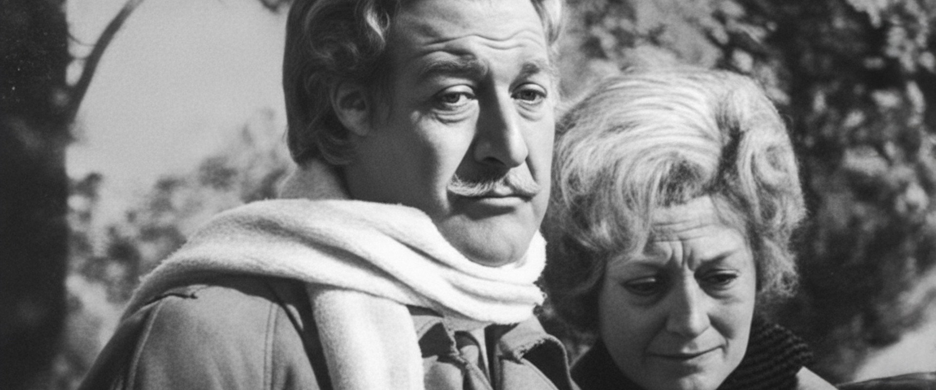 Yaşlı Gözler's banner image