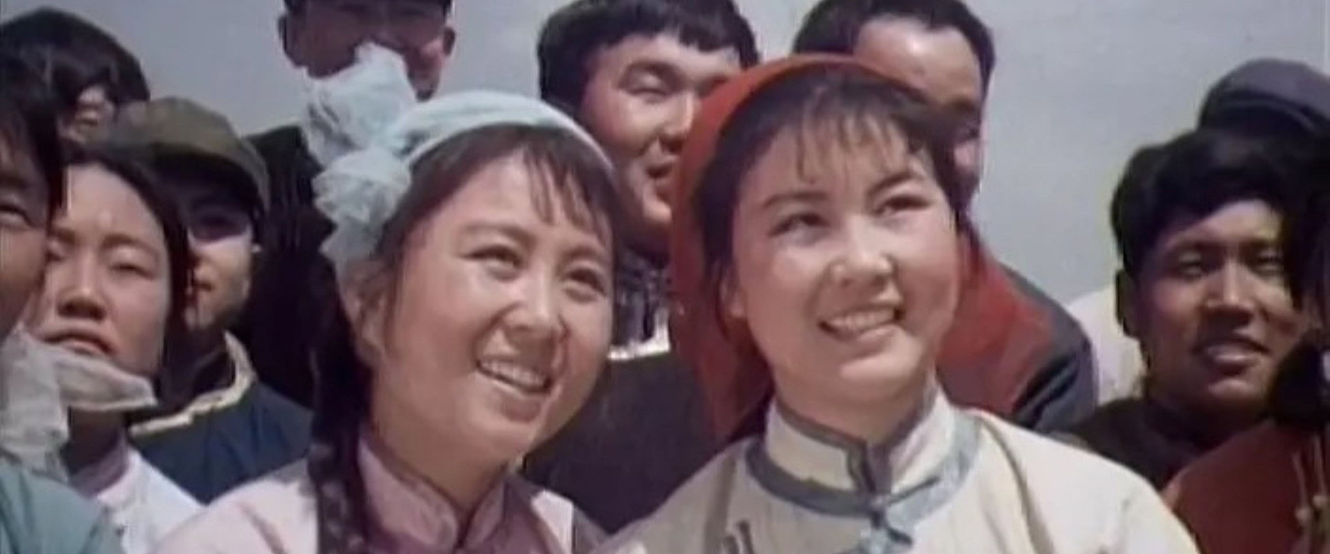 战地黄花's banner image