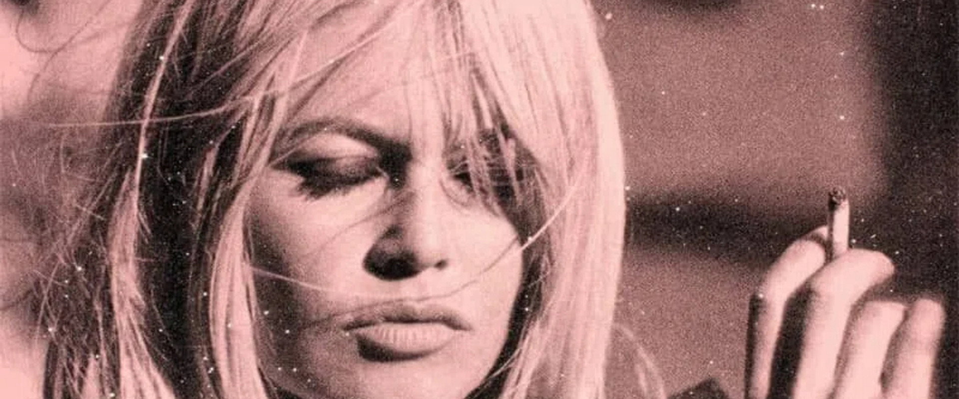 Bardot, The Misunderstanding's banner image