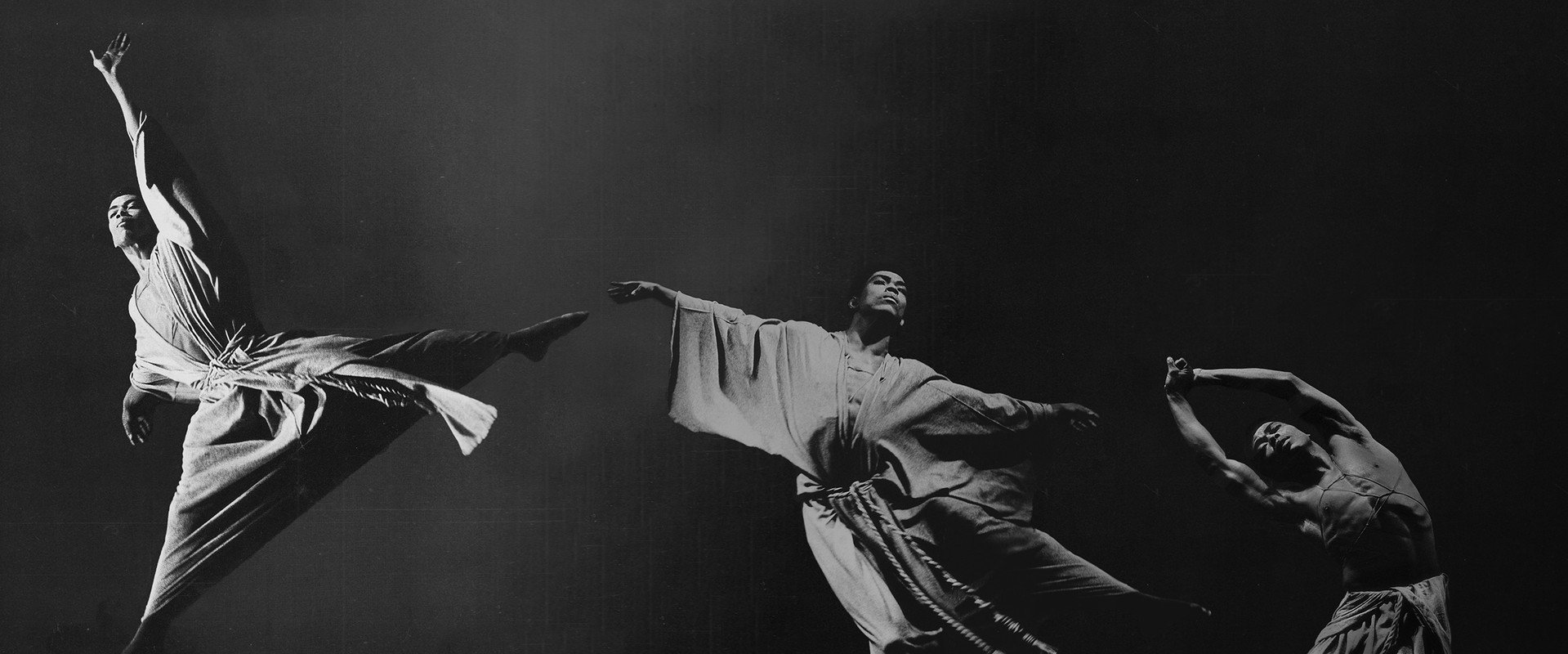 Ailey's banner image