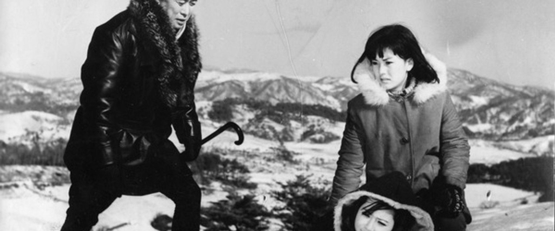 Affection's banner image