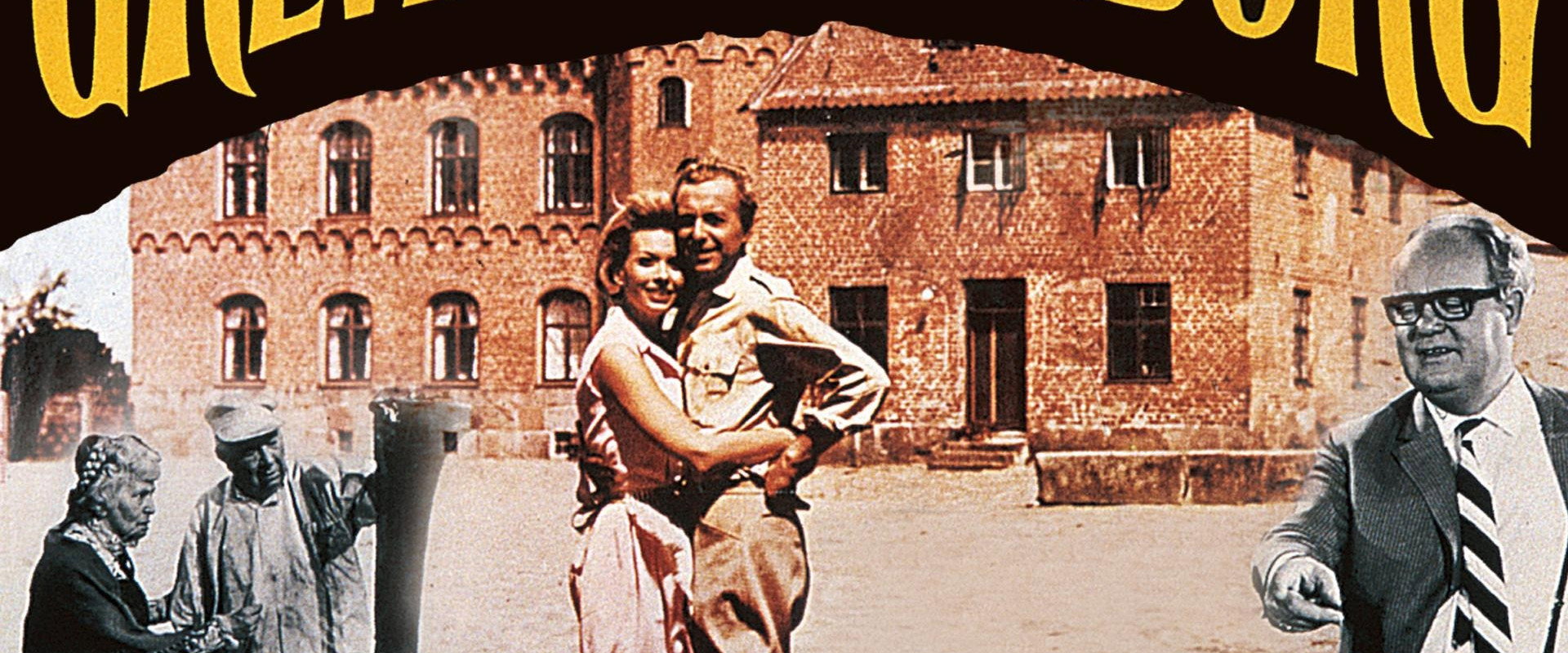 Alt for kvinden's banner image