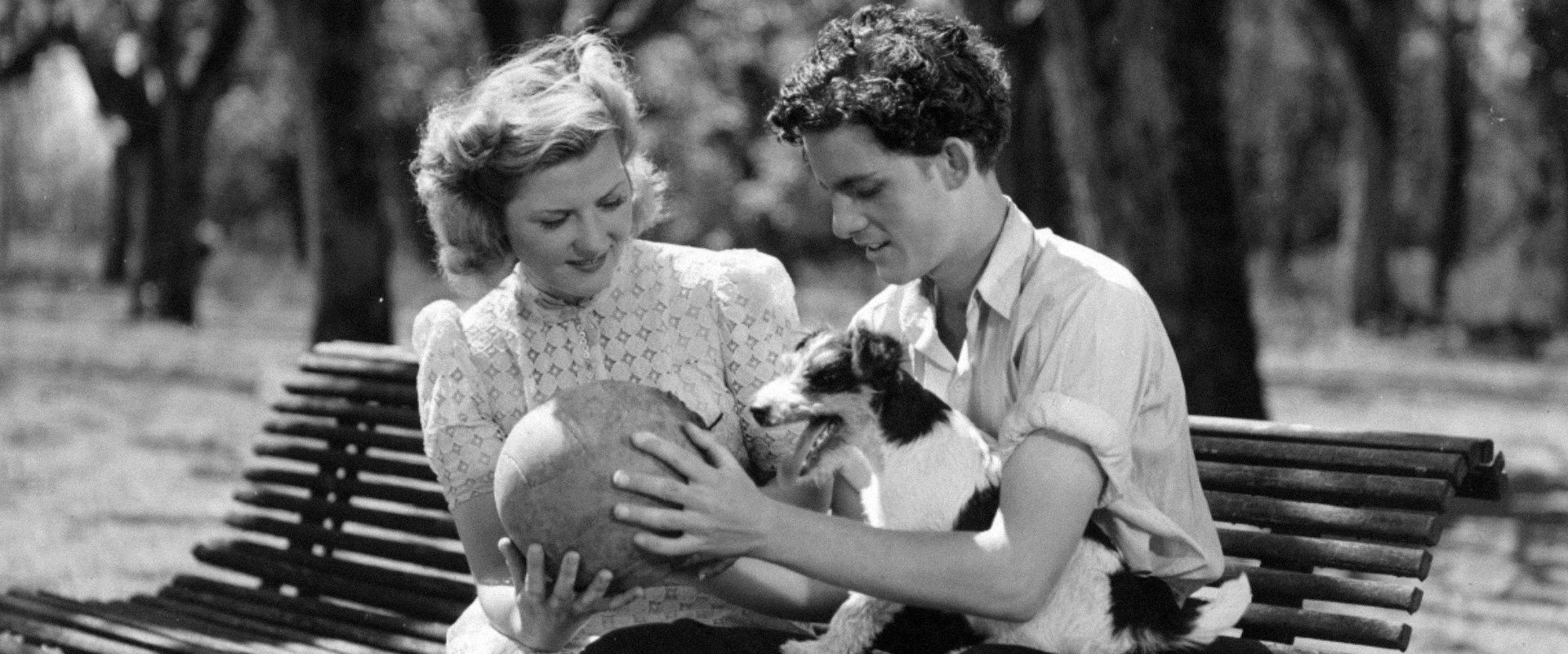 His Grace's Will's banner image