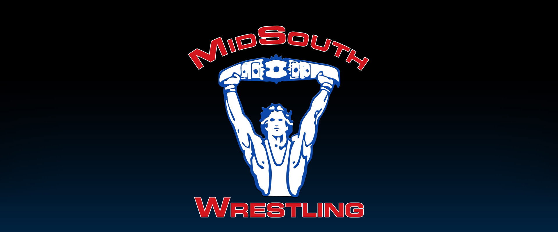 Power Pro Wrestling's banner image