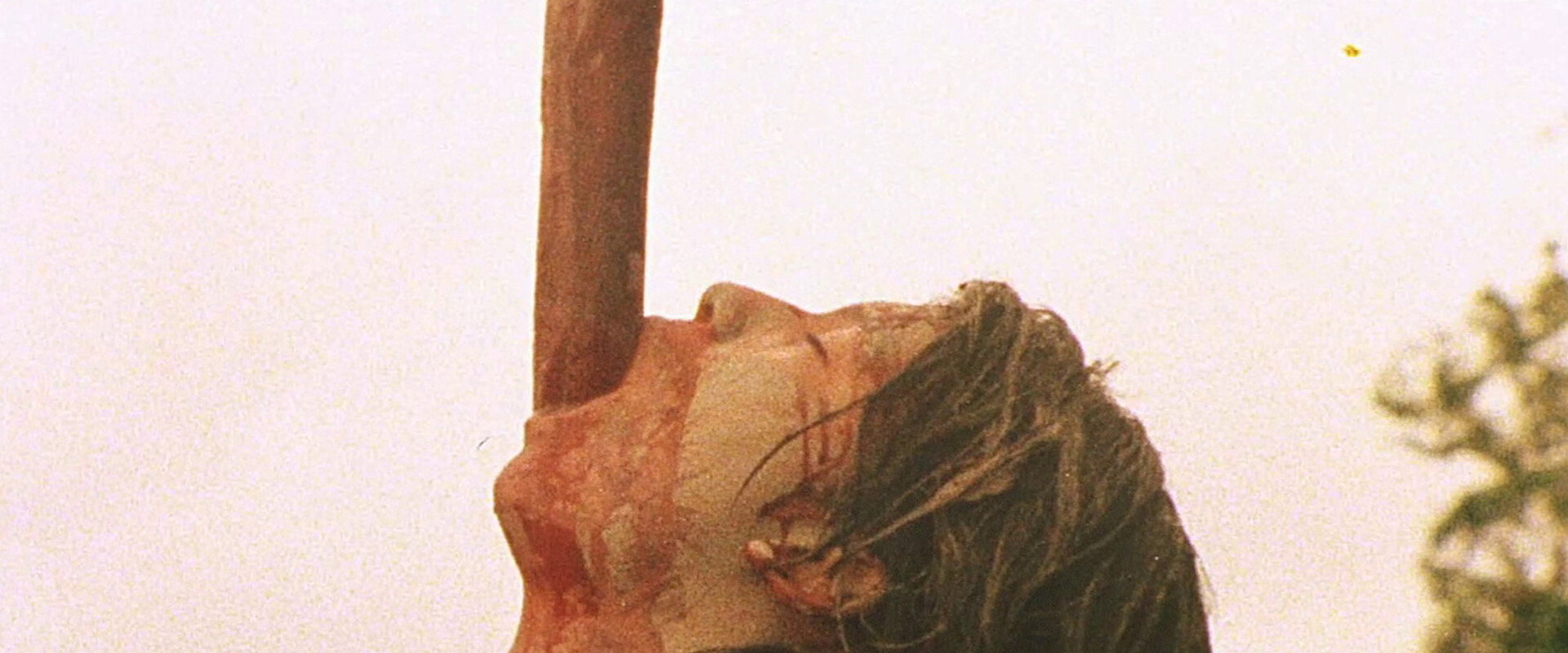 Cannibal Holocaust's banner image