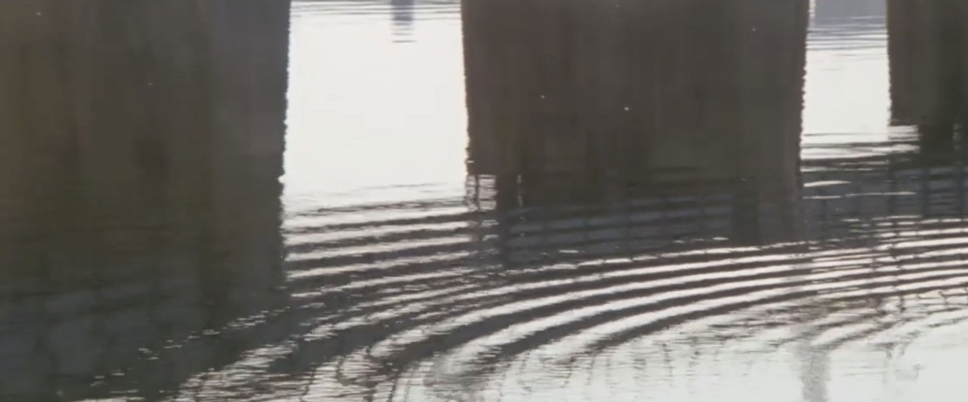 Ginza neon-gai: Onna no zetchô's banner image