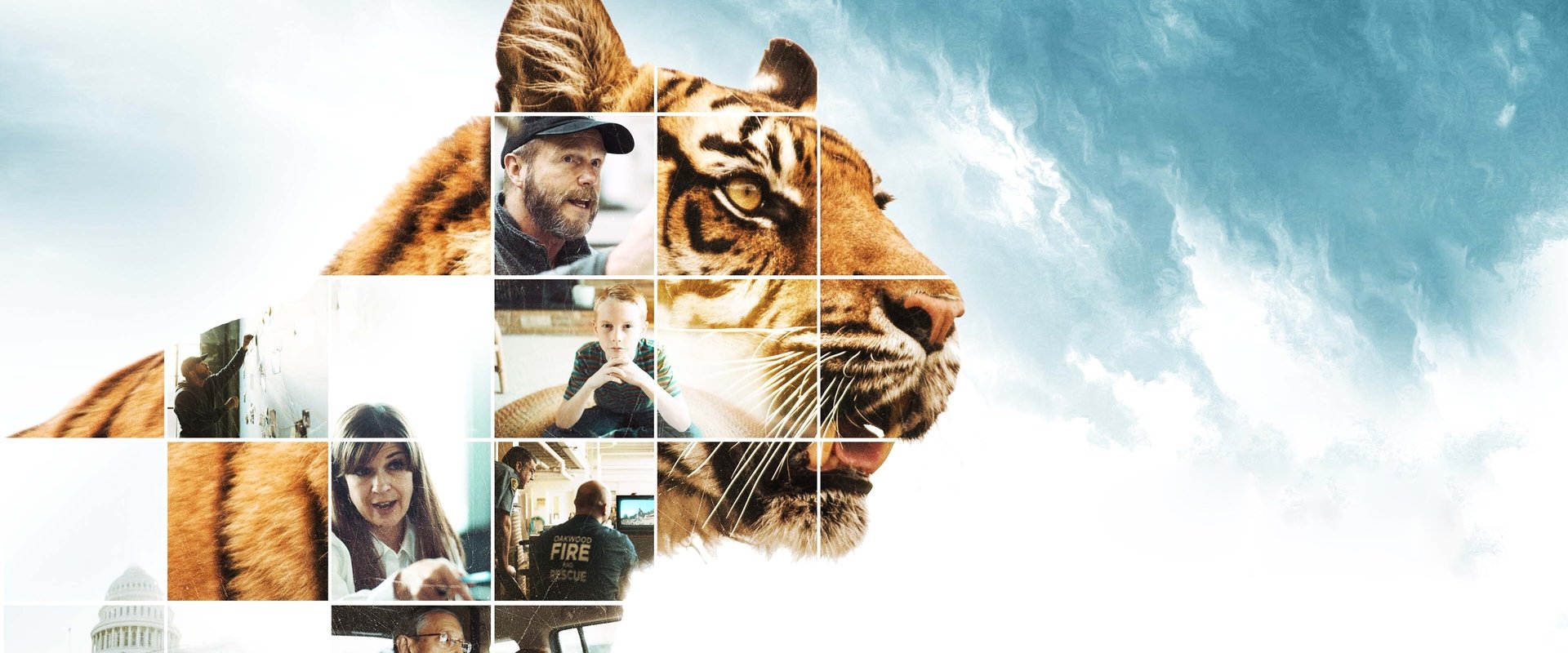 The Conservation Game