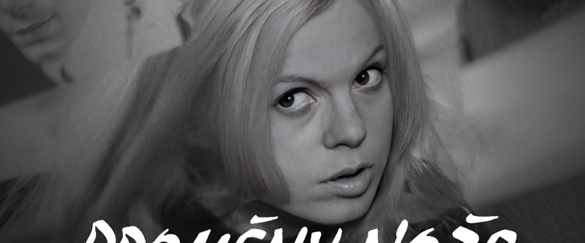 Proměny nože's banner image