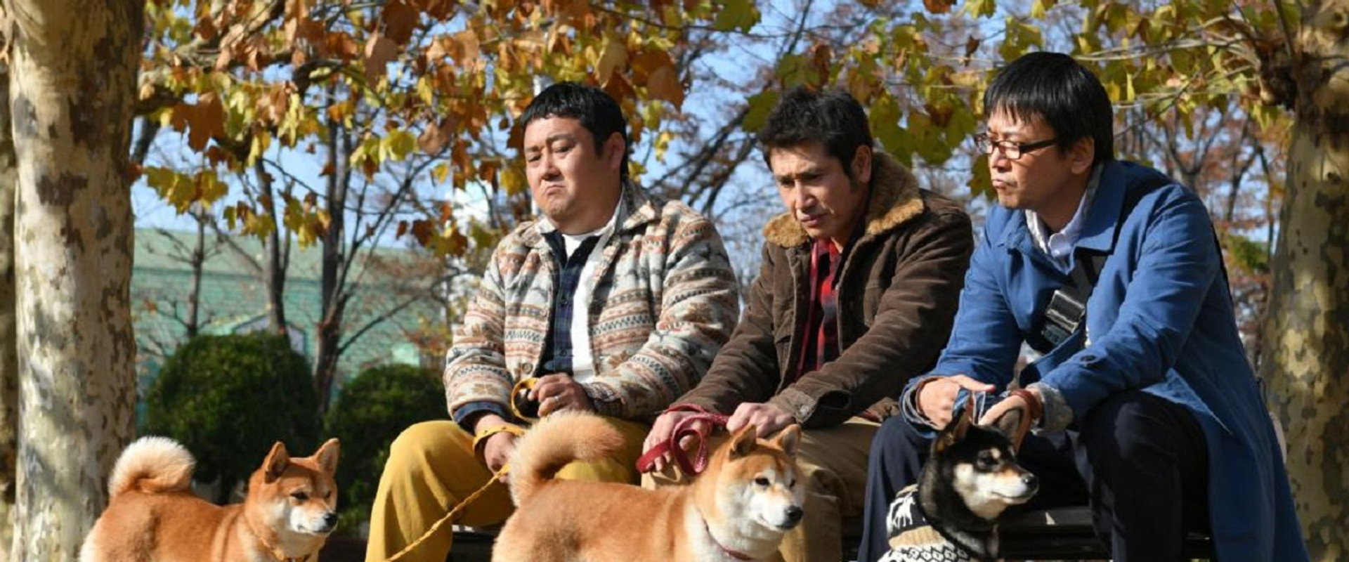 Shiba Park's banner image
