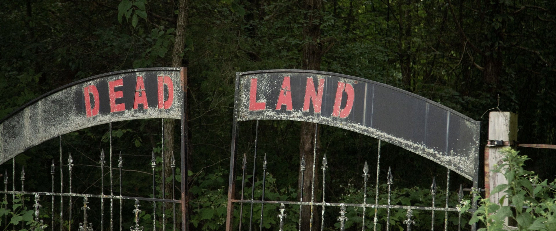 Dead Land's banner image