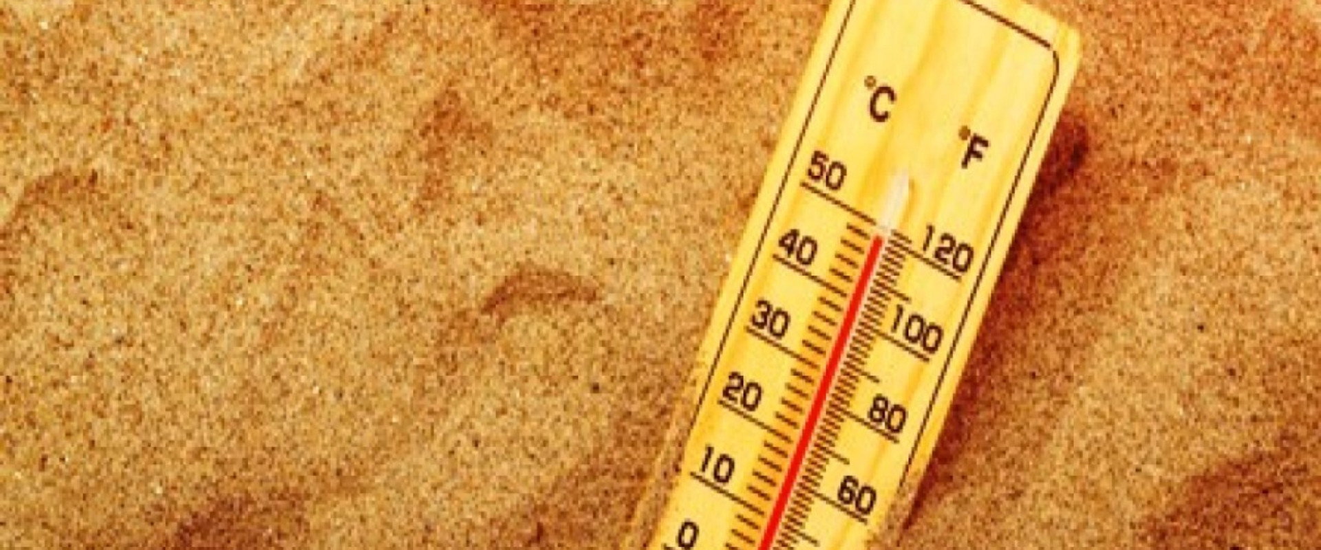 Grosse chaleur's banner image