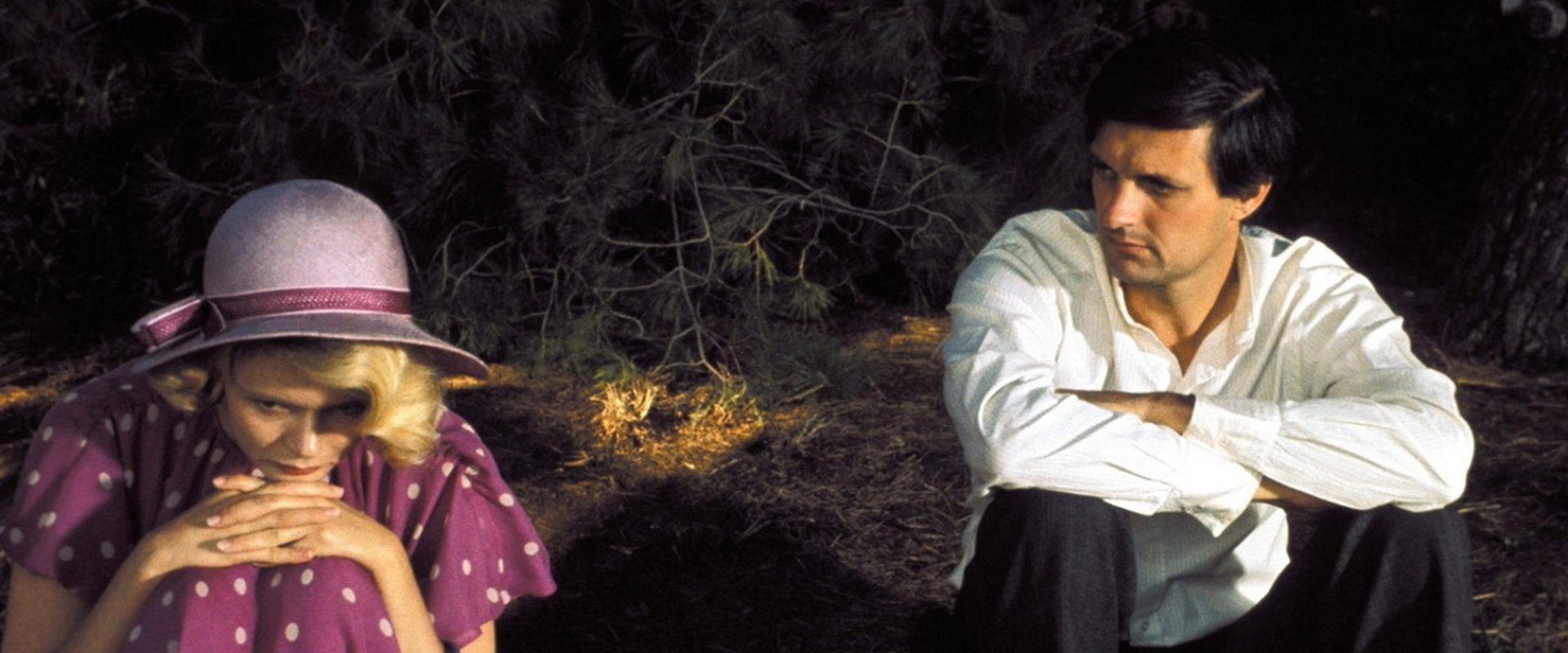 The Moonshine War