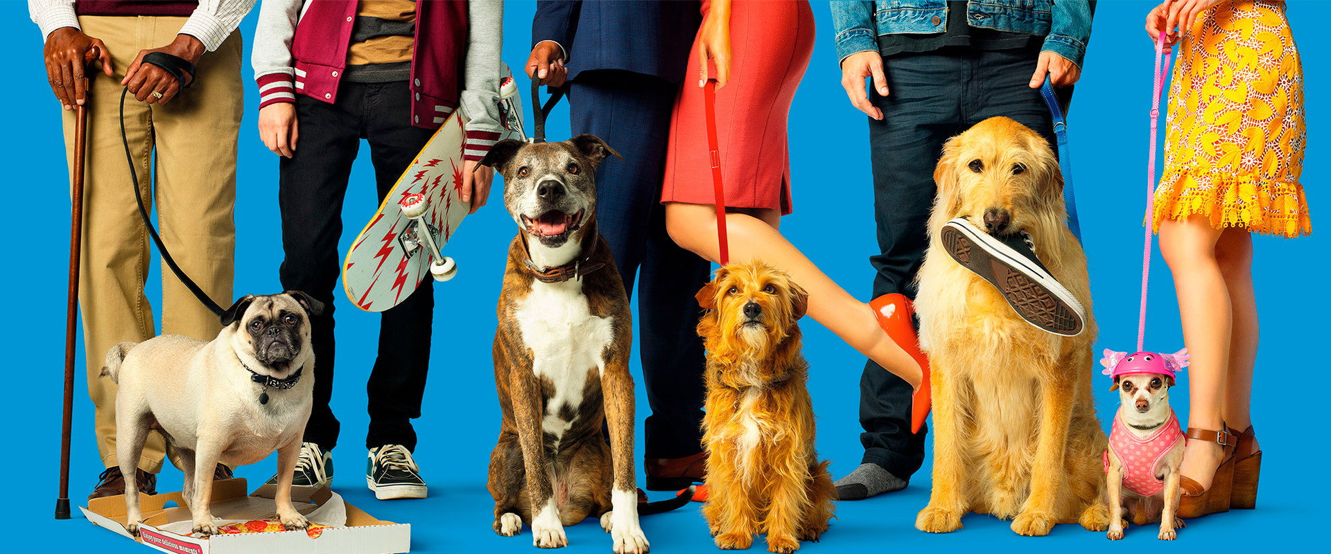 Dog Days's banner image