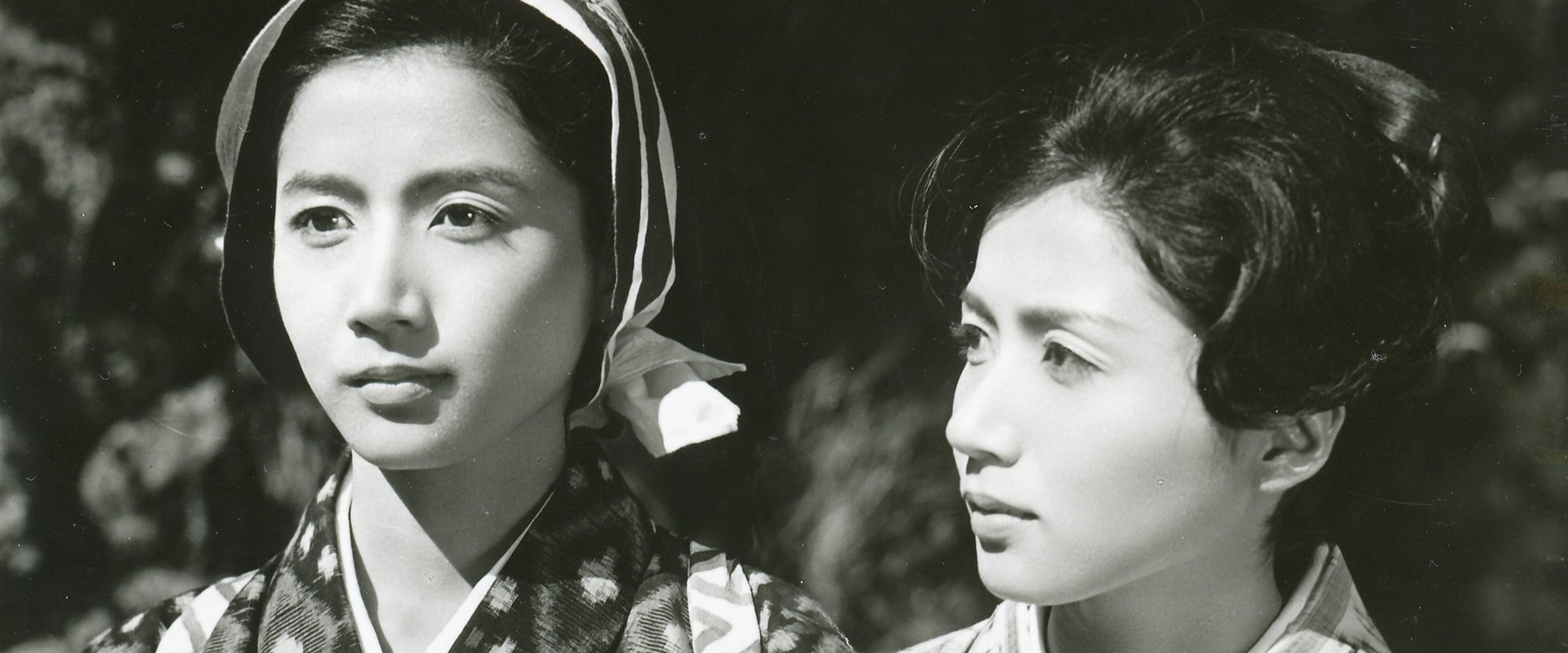 Twin Sisters of Kyoto