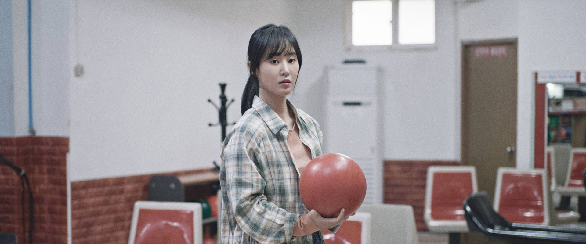 Dolphin's banner image