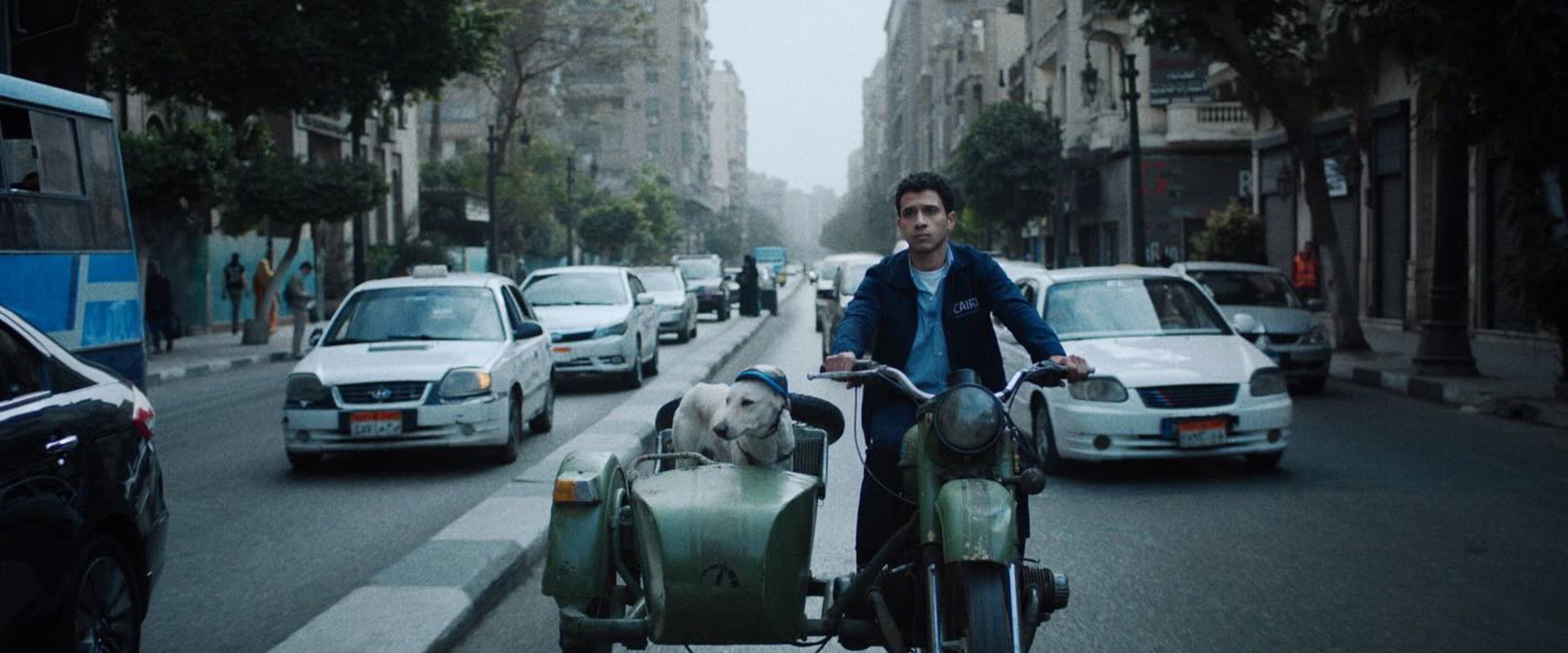 Seeking Haven for Mr. Rambo