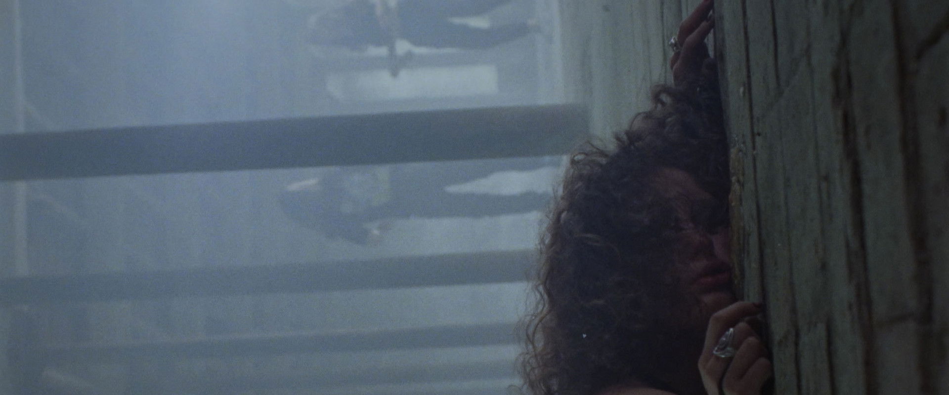 Vestigi's banner image