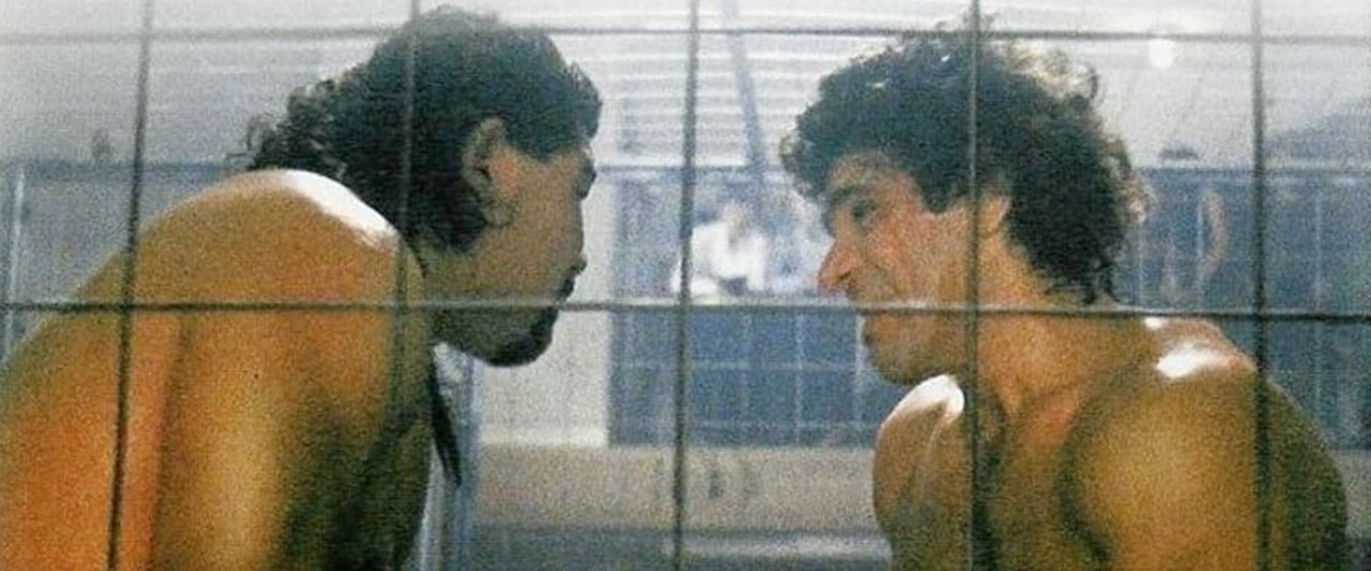 Cage