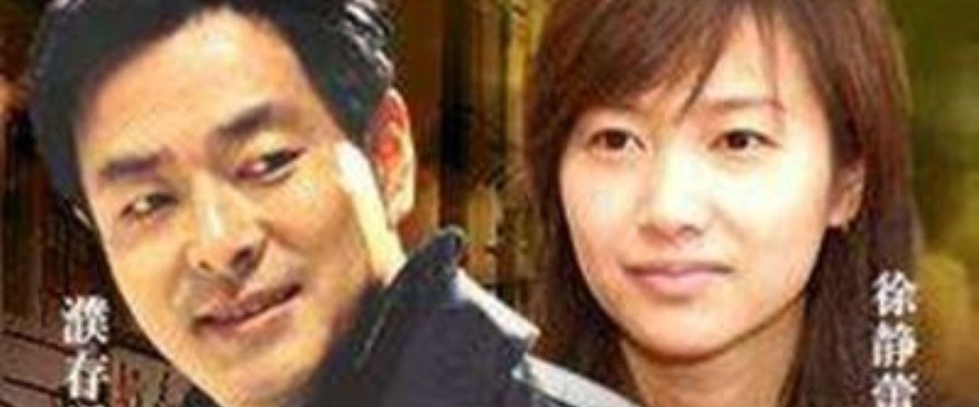 堆积情感's banner image