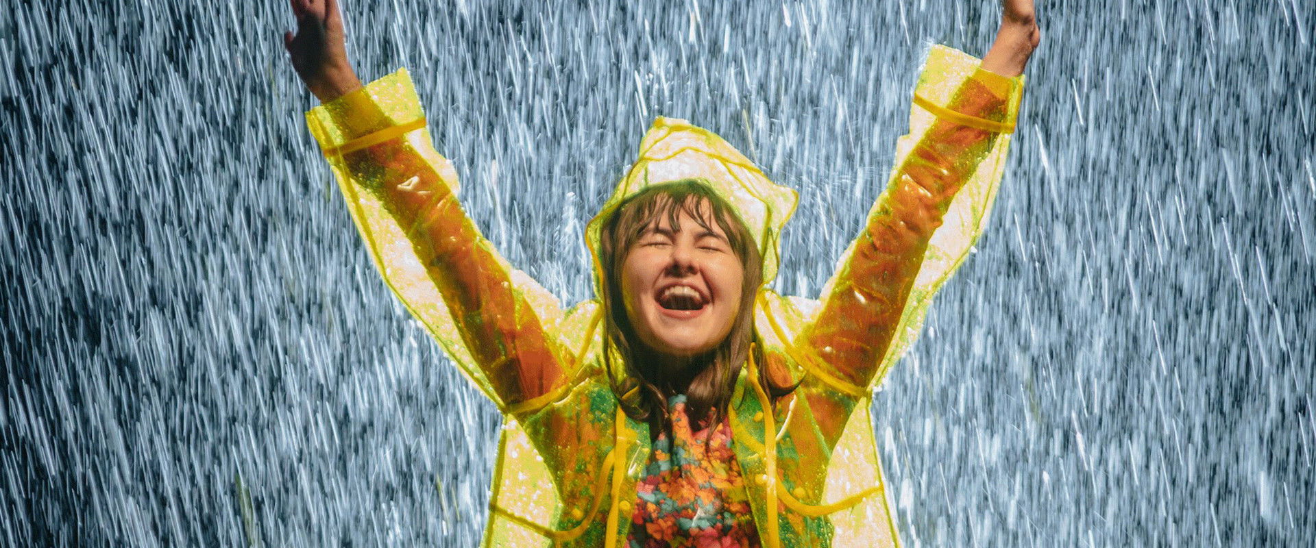 #SalveRosa's banner image