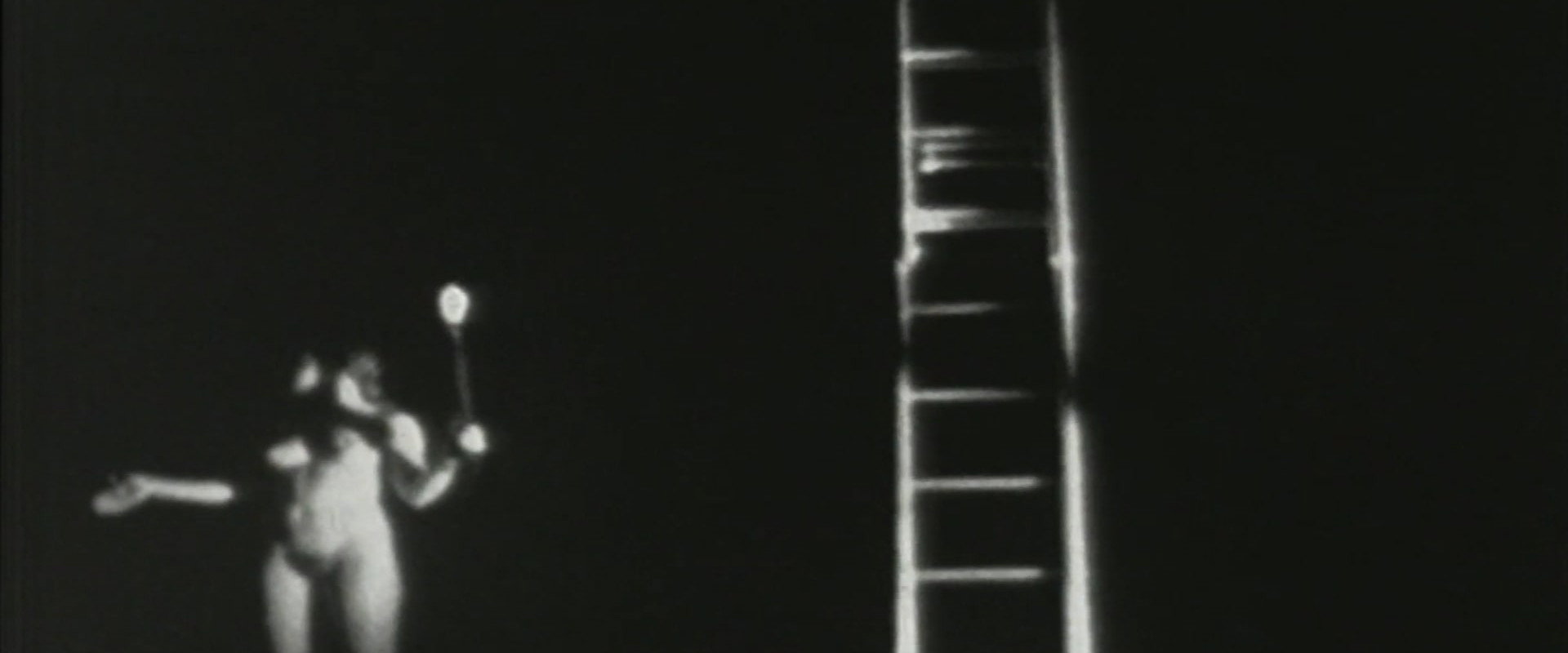 Salome's banner image