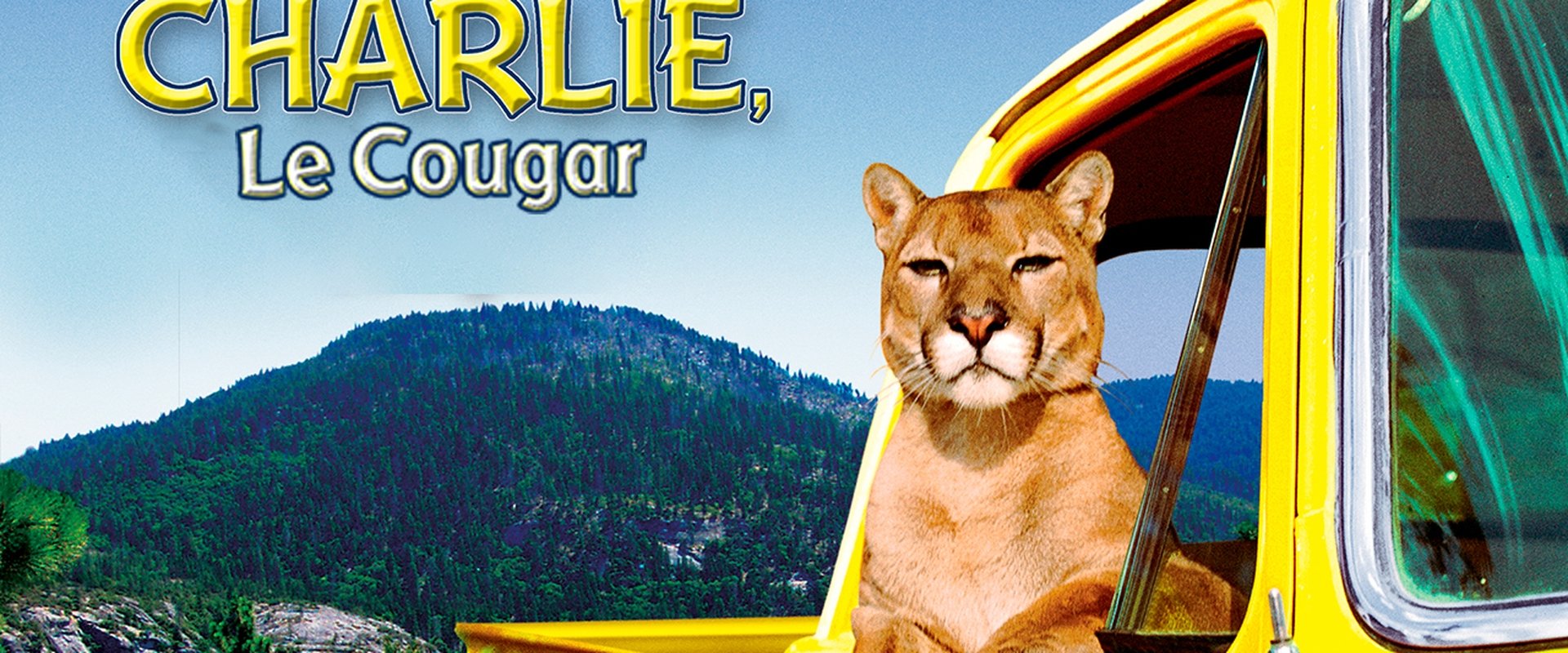 Charlie, the Lonesome Cougar