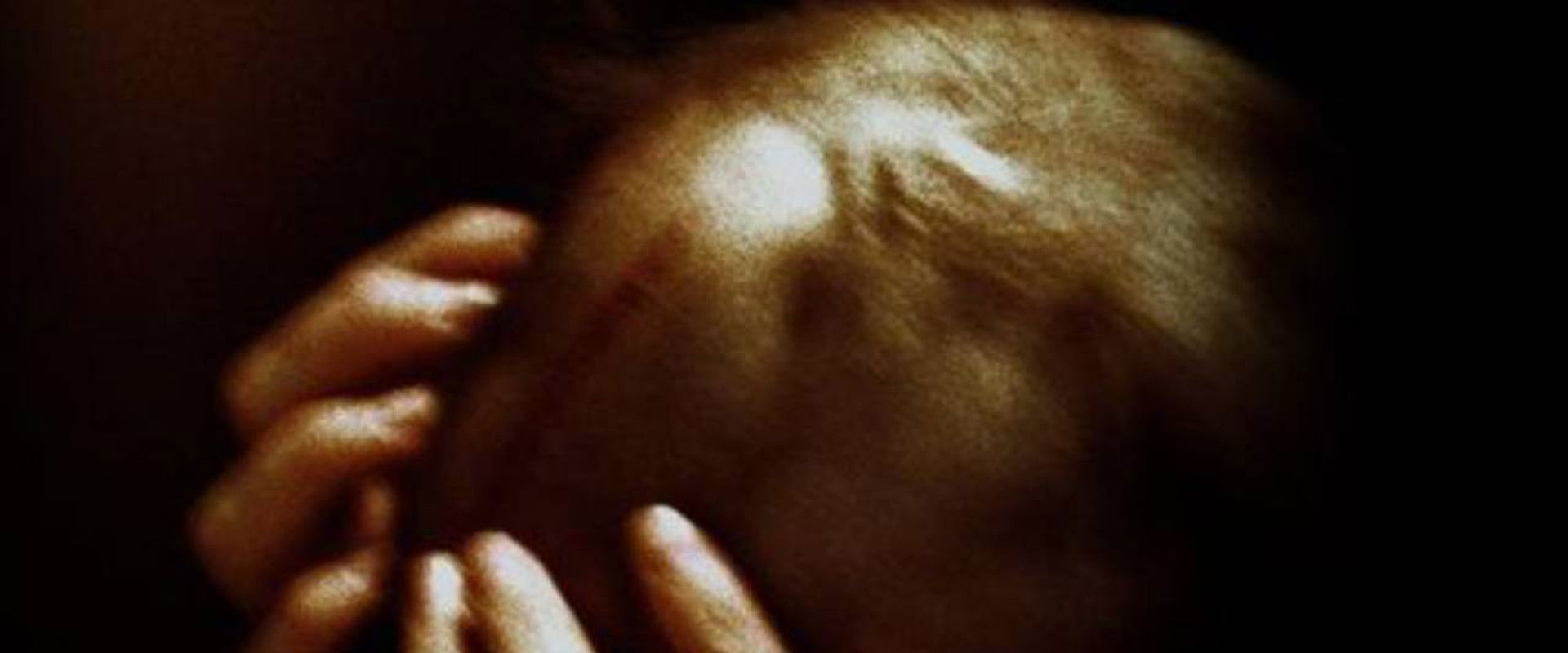 Mémoire morte's banner image