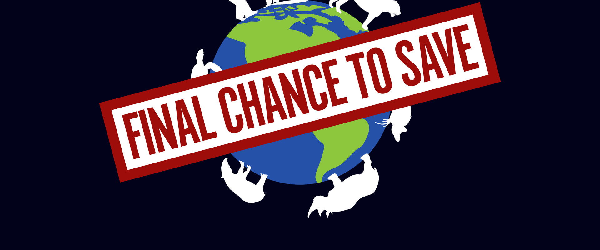 Final Chance to Save