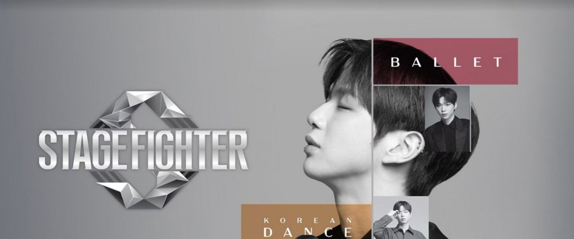 Stage Fighter's banner image