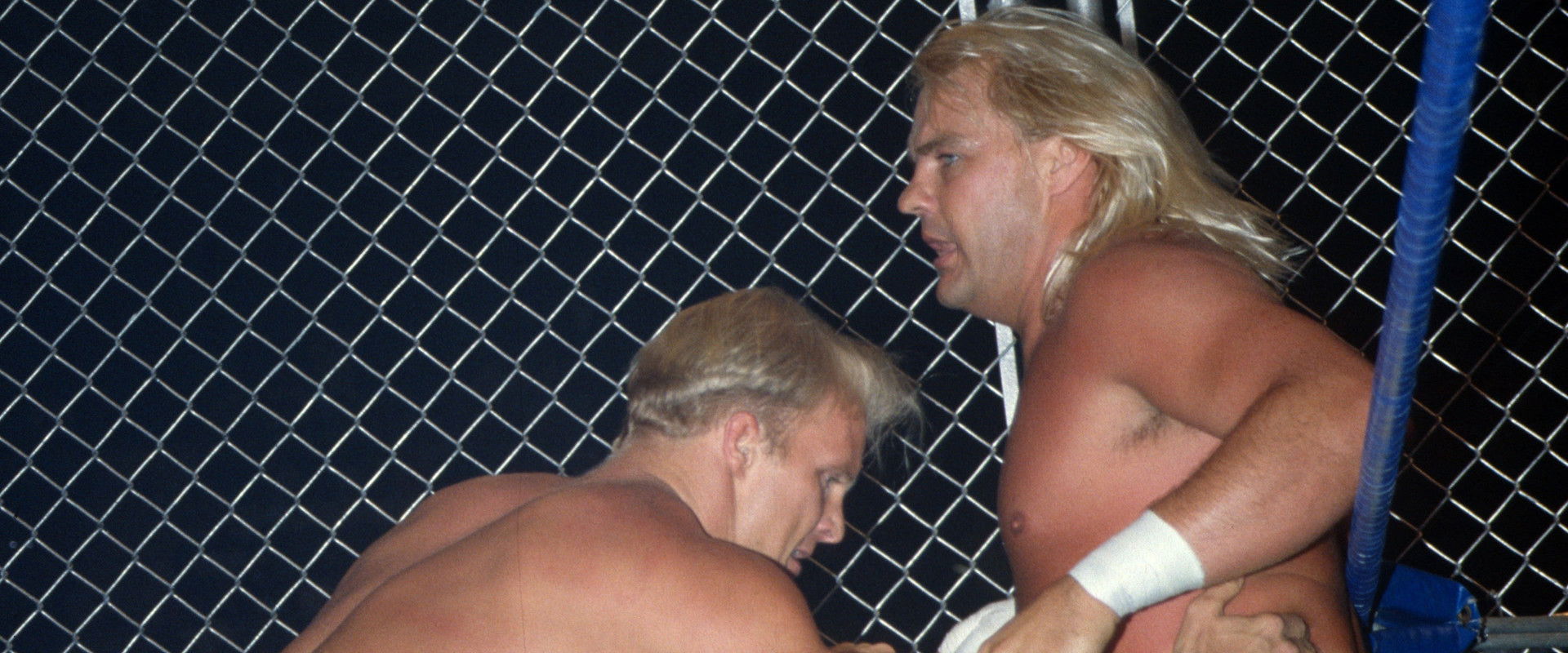 WCW Arena Shows's banner image