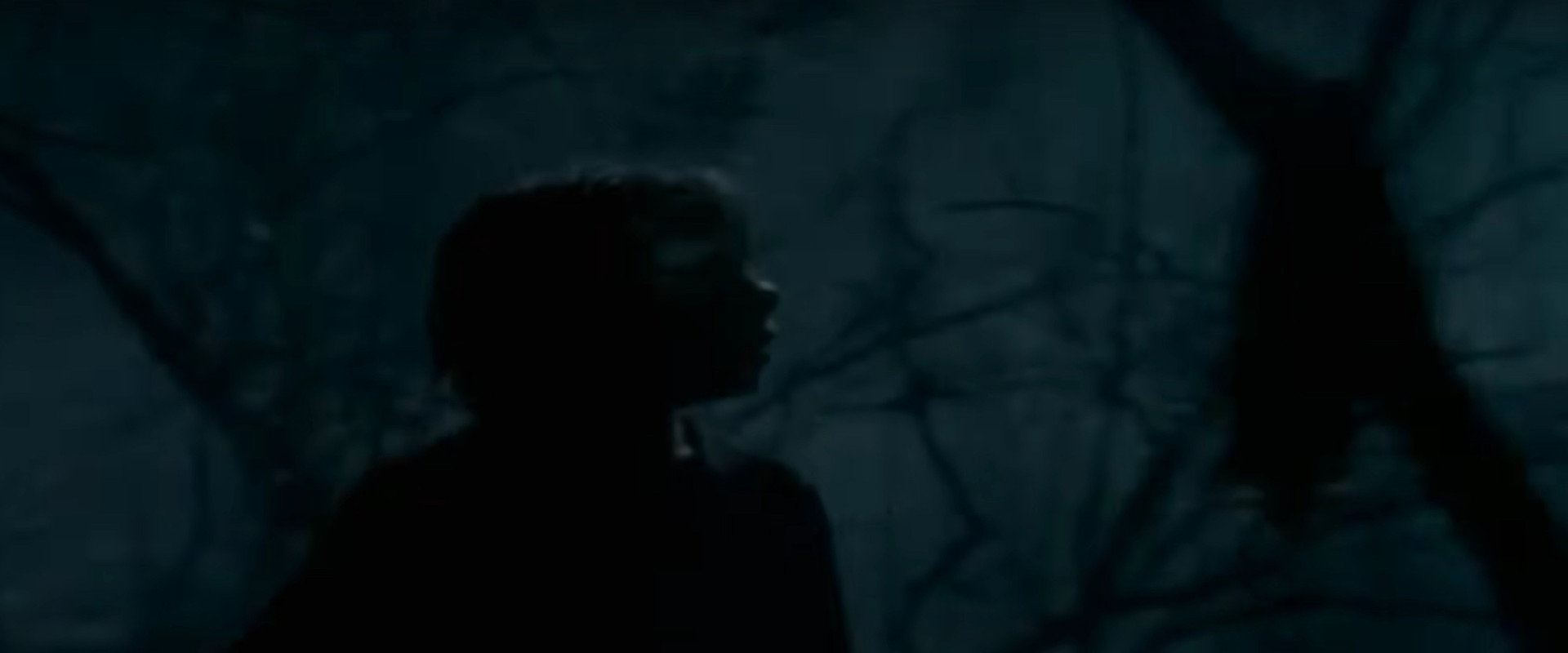 Goosebumps: The Werewolf of Fever Swamp's banner image