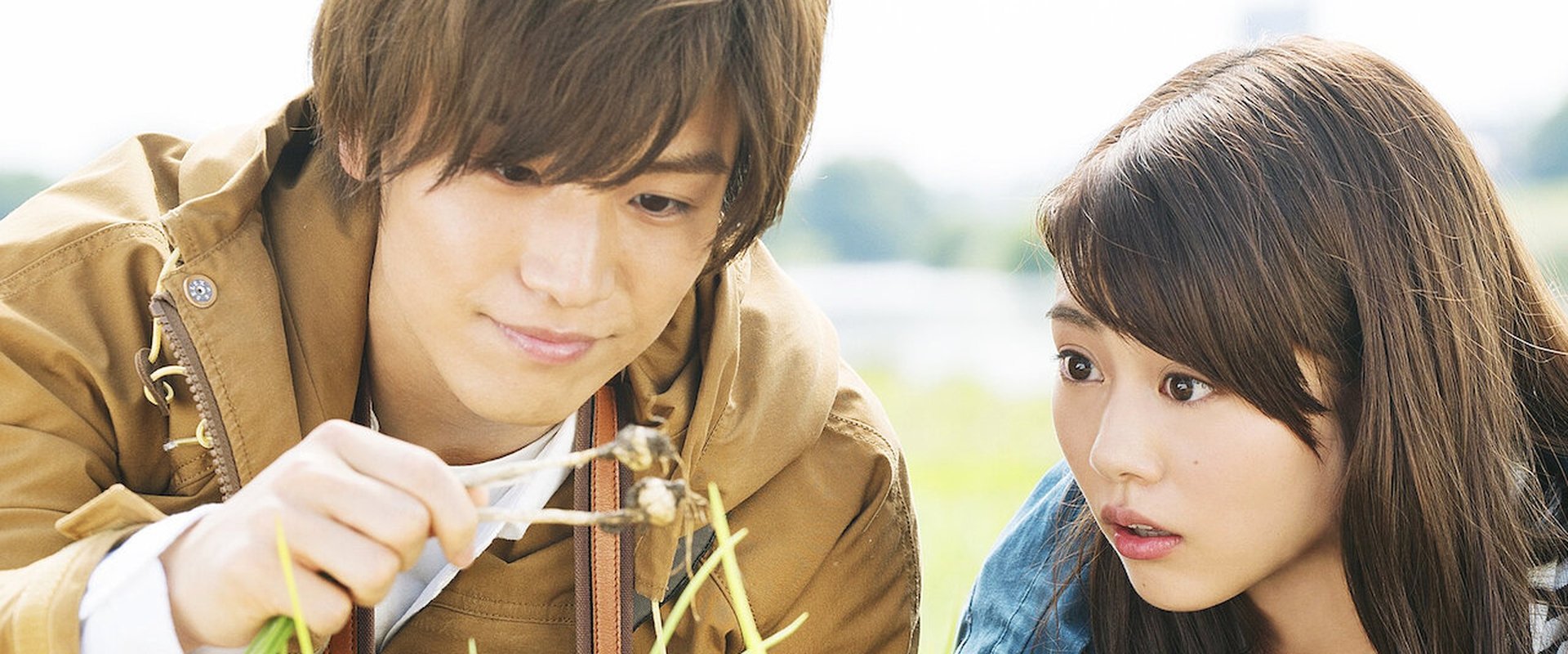 Evergreen Love