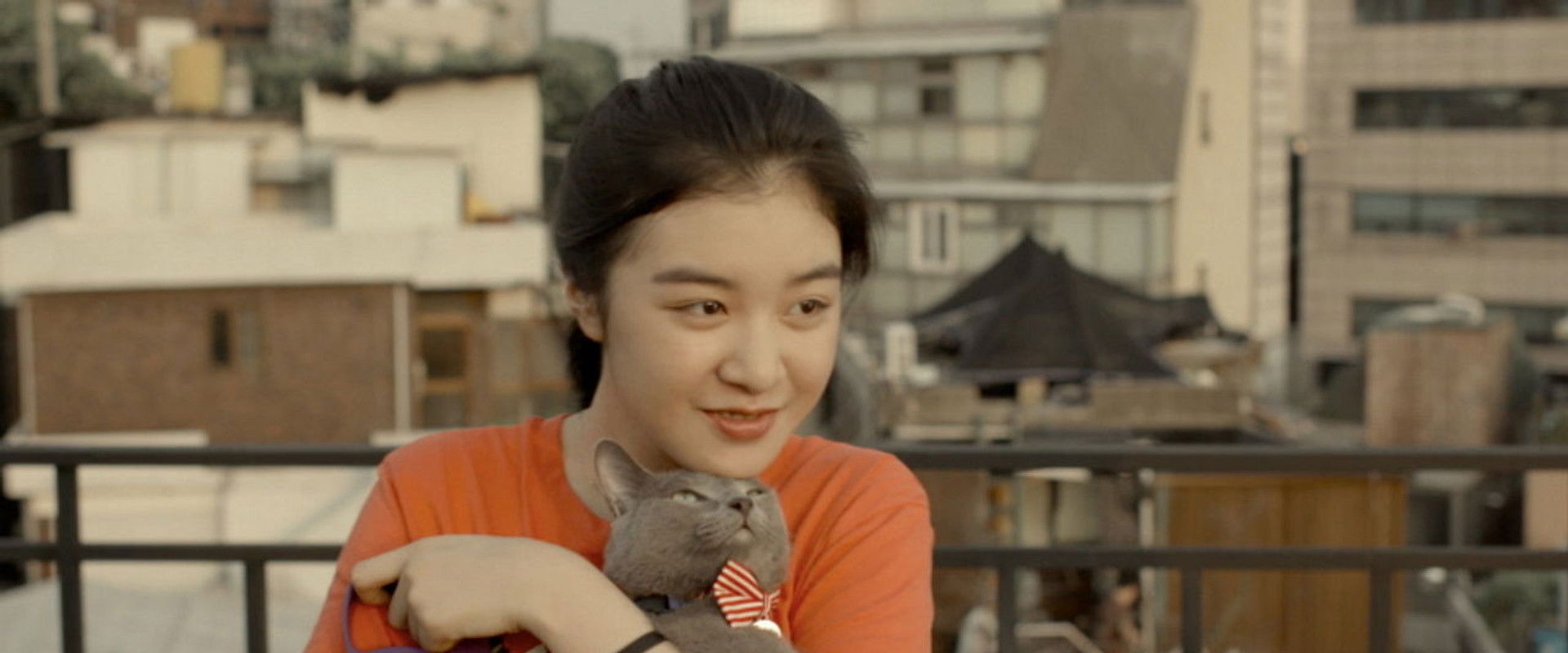 Hello, My Cat's banner image