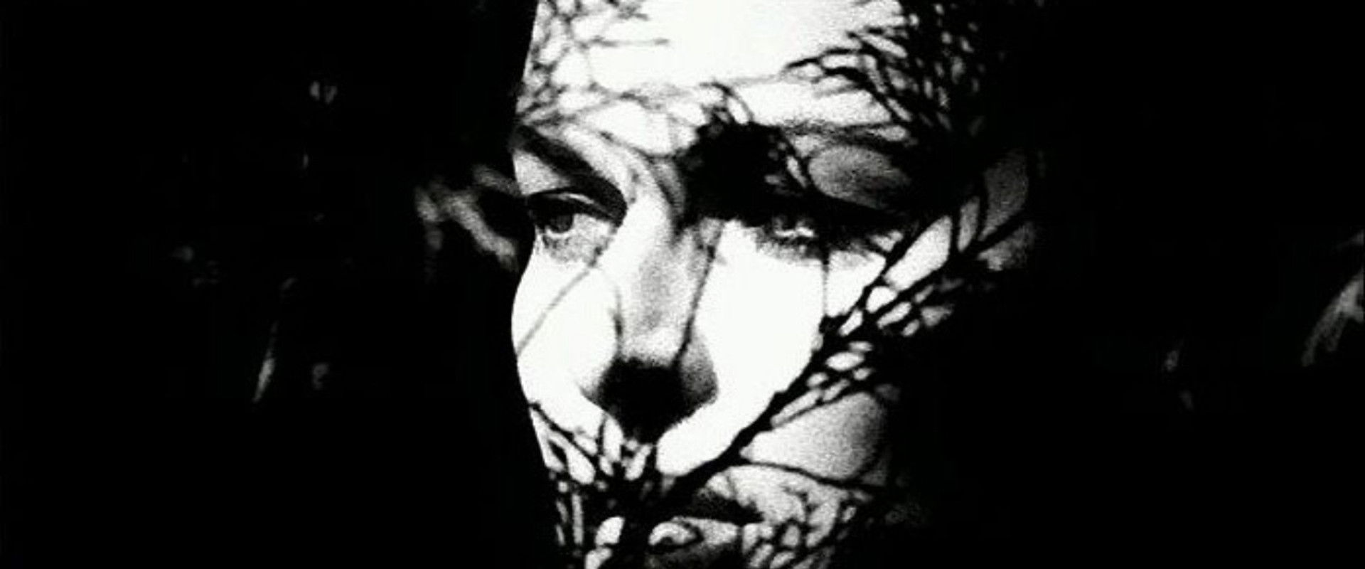 Nocturne 29's banner image