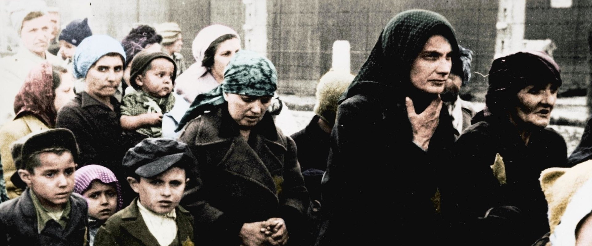 Auschwitz Untold: In Colour