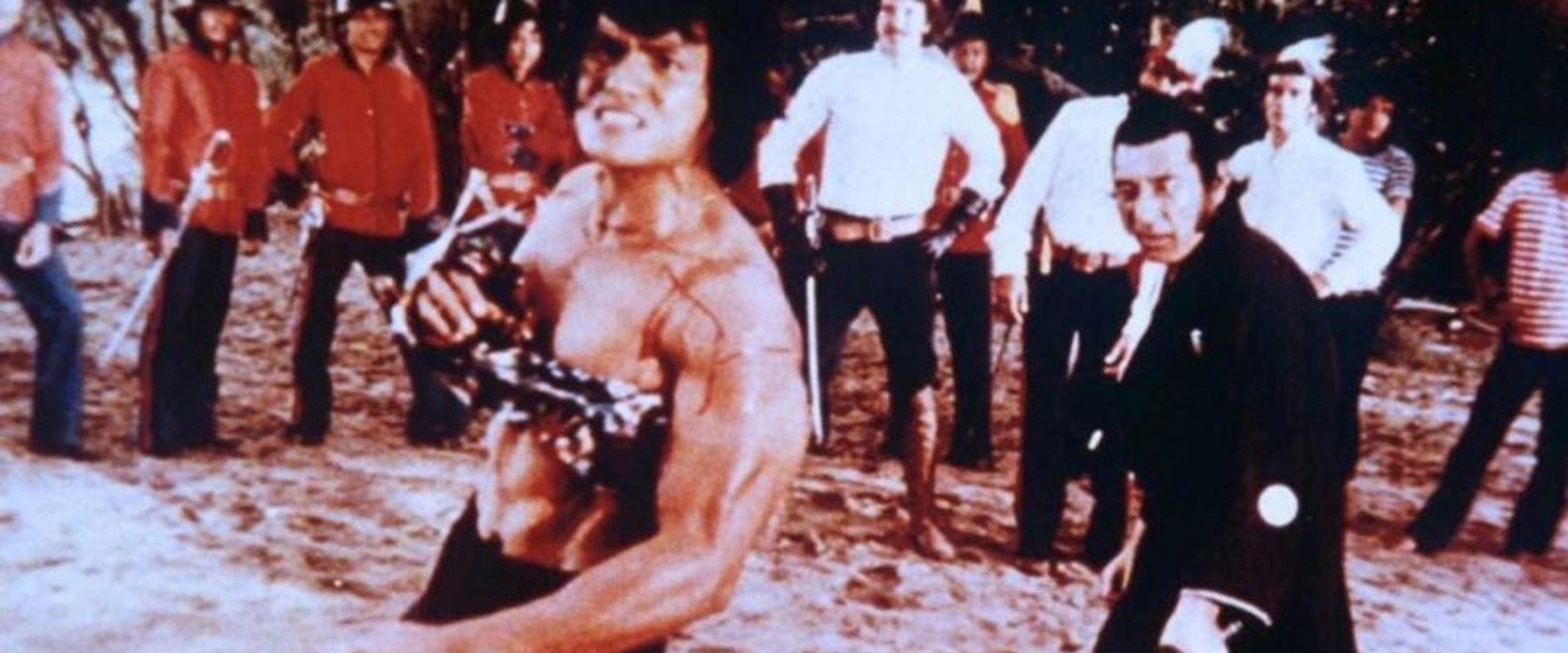 The Pacific Connection's banner image