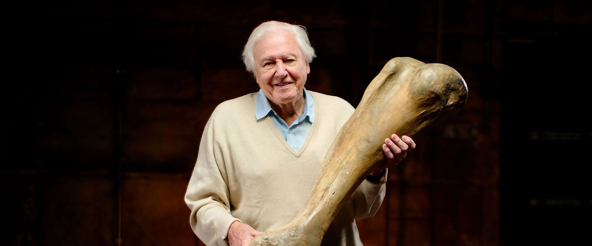 Attenborough and the Mammoth Graveyard