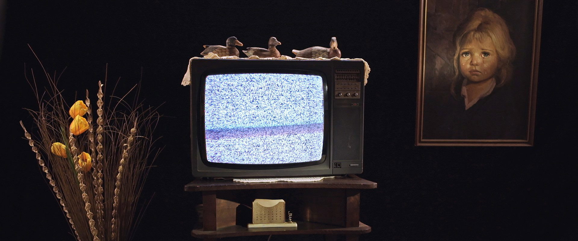 Uma História do Espectador de Cinema's banner image